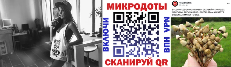 Галлюциногенные грибы GOLDEN TEACHER  Купить где  Остров 